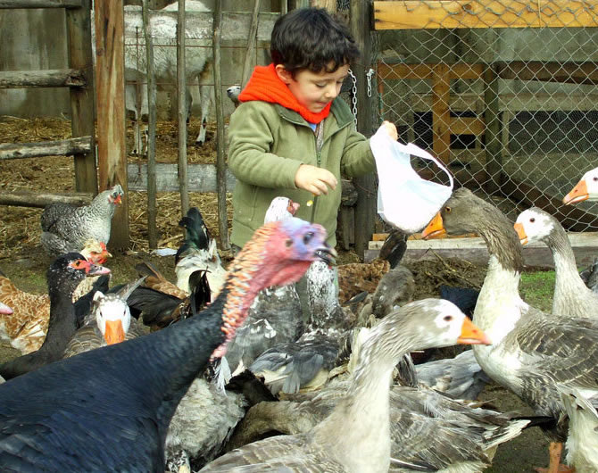 portfolio single project