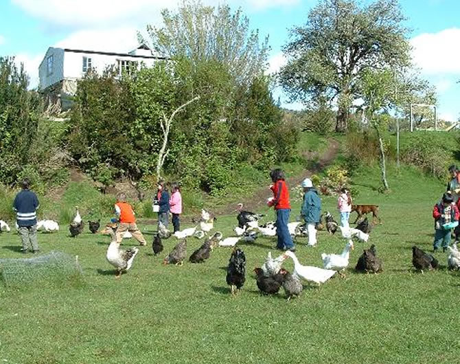 portfolio single project