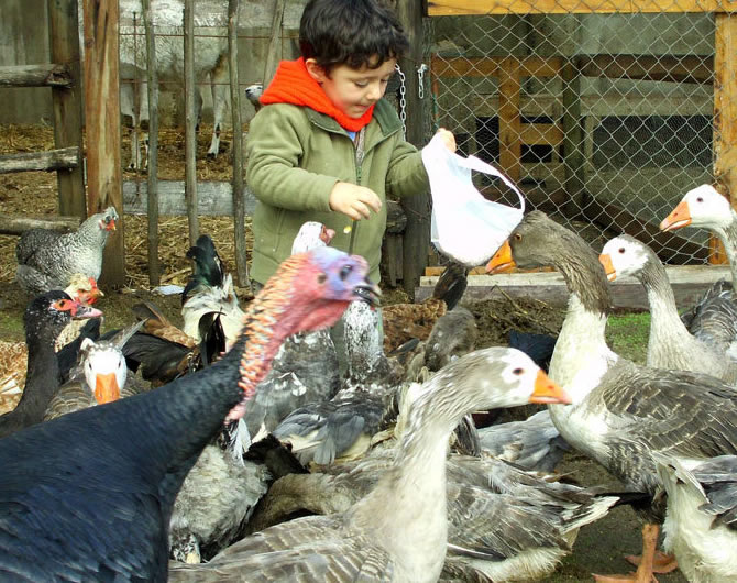 portfolio single project