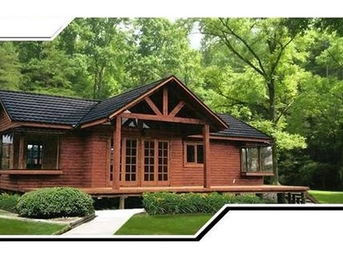 portfolio single project