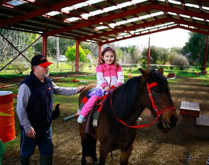 portfolio single project