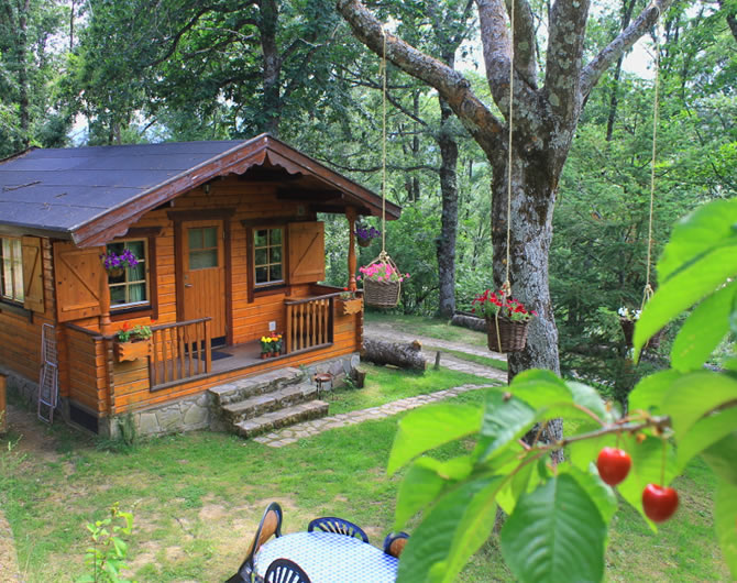 portfolio second image